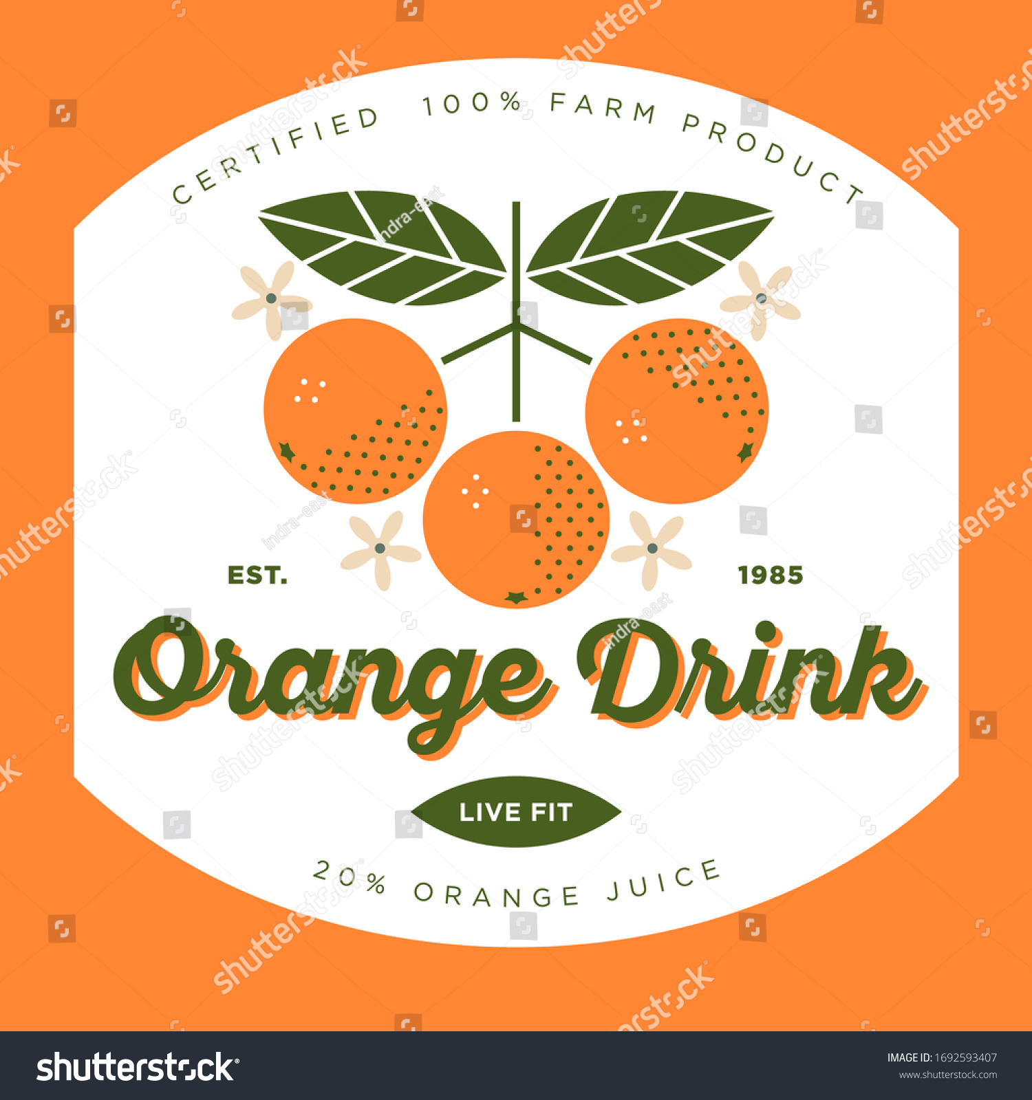 Orange drink with juice. Healthy fruit beverage. Oranges fruits with leaves and flowers. Simple fruit Illustrations.