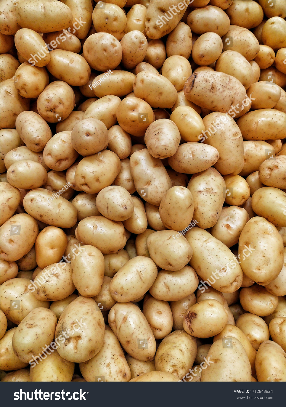 poor-looking yellow potatoes spread over a supermarket gondola