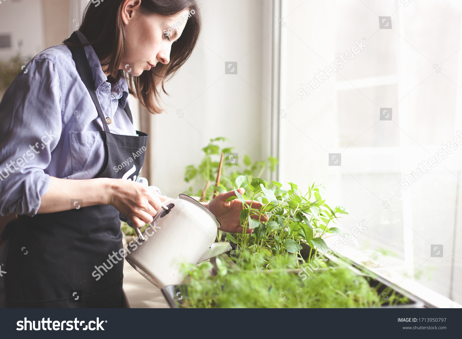 gardening home. woman replanting green pasture in home garden.indoor garden room with plants banner Potted green plants at home home jungle Garden room gardening Plant room Floral decor.