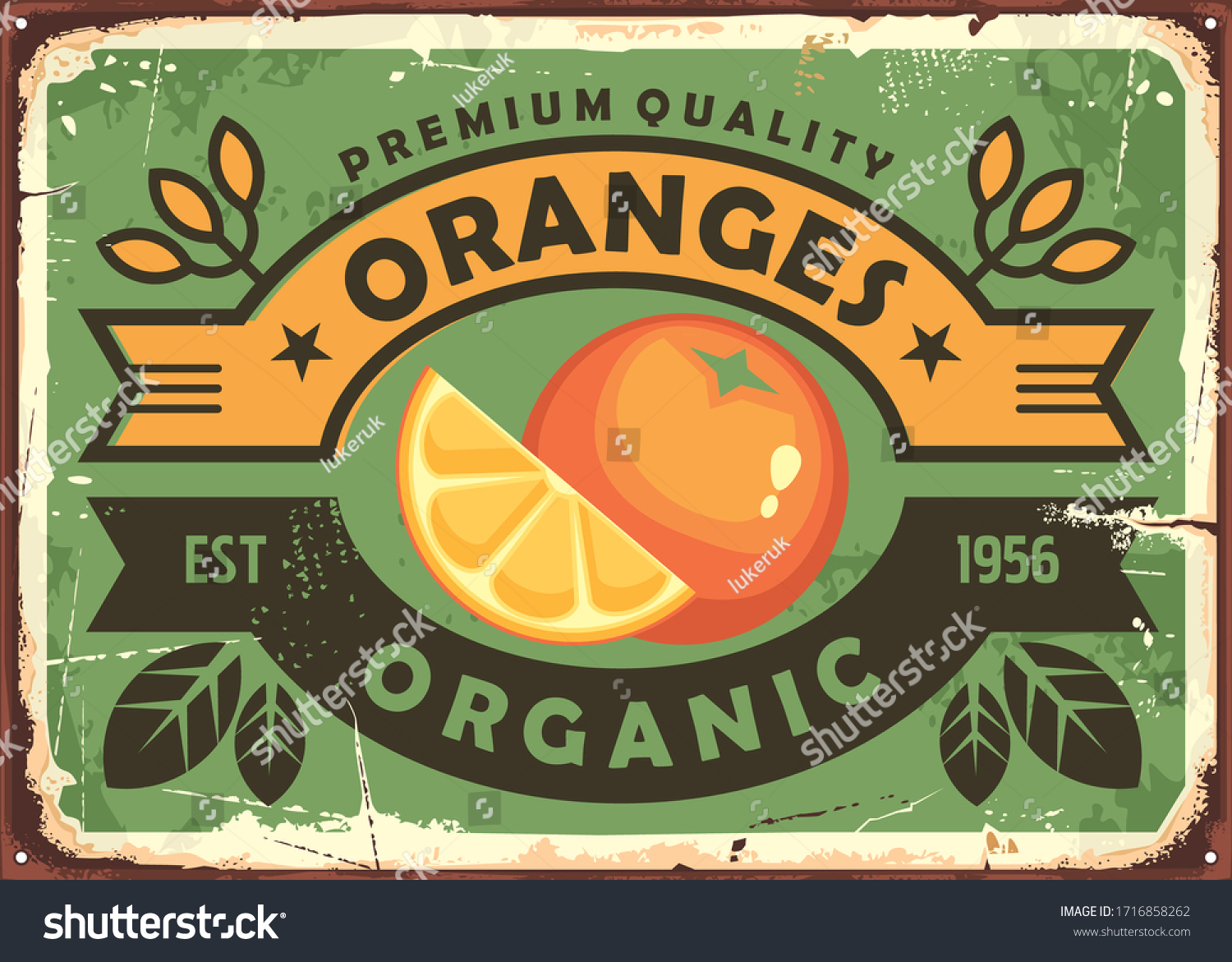 Oranges vintage sign. Organic fruit farm poster template with slice of orange  leaves and ribbons. Vector nostalgic banner.