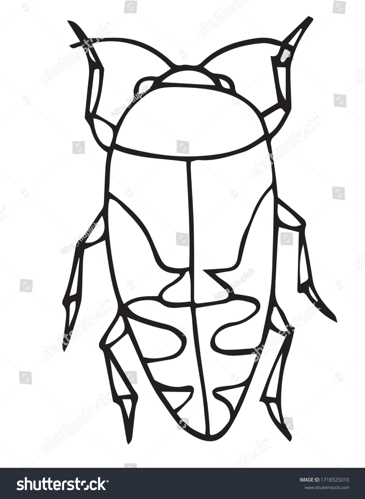 beetle insect outline vector icon easy coloring book for kids