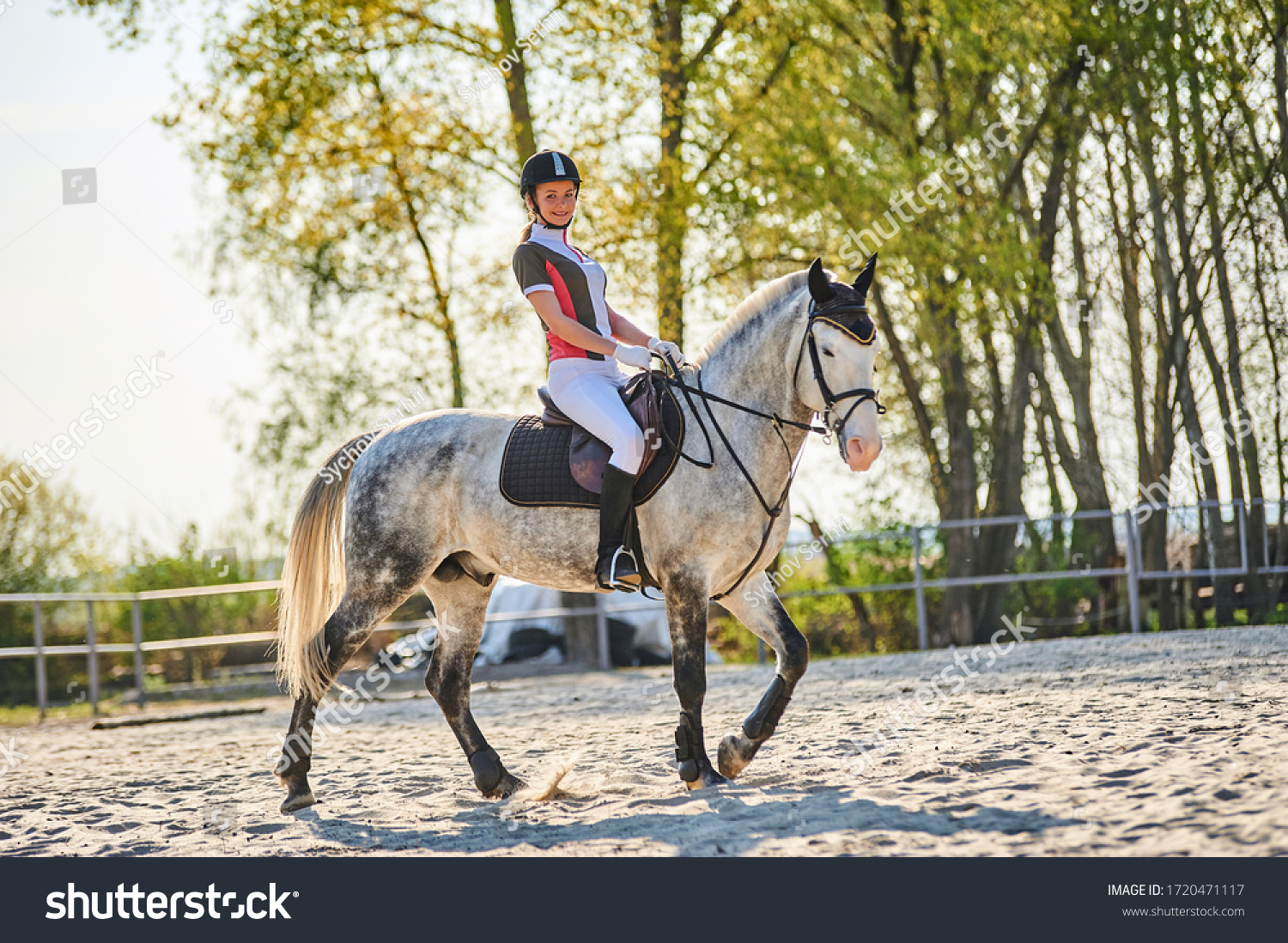 Girl equestrian rider riding a beautiful horse  in the rays of the setting sun.