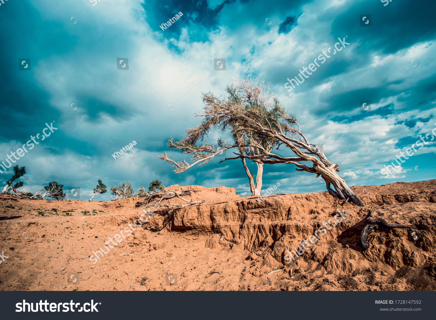 mongolian wild nature  gobi and khangai