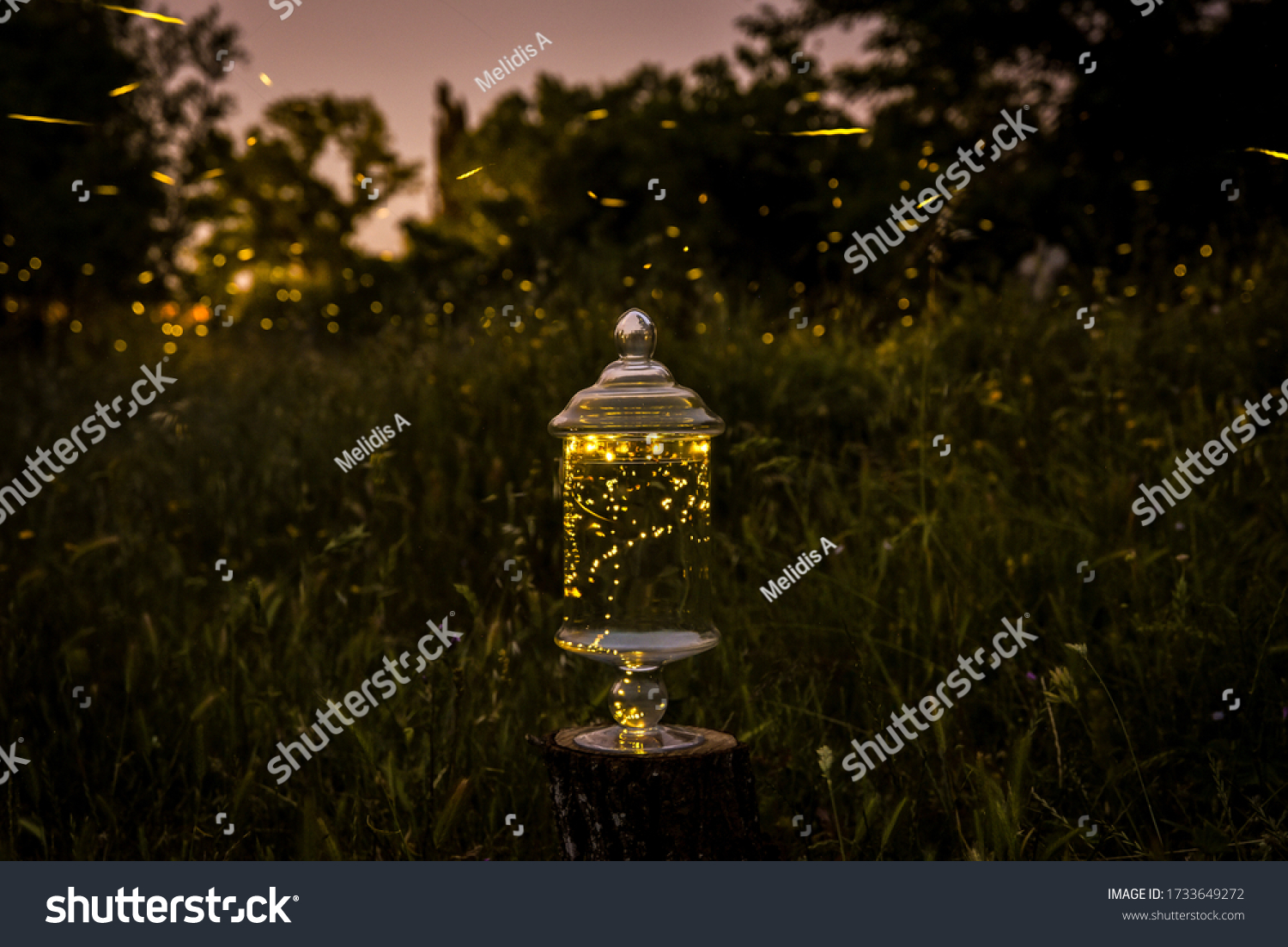 Fireflies inside a glass jar on outdoor