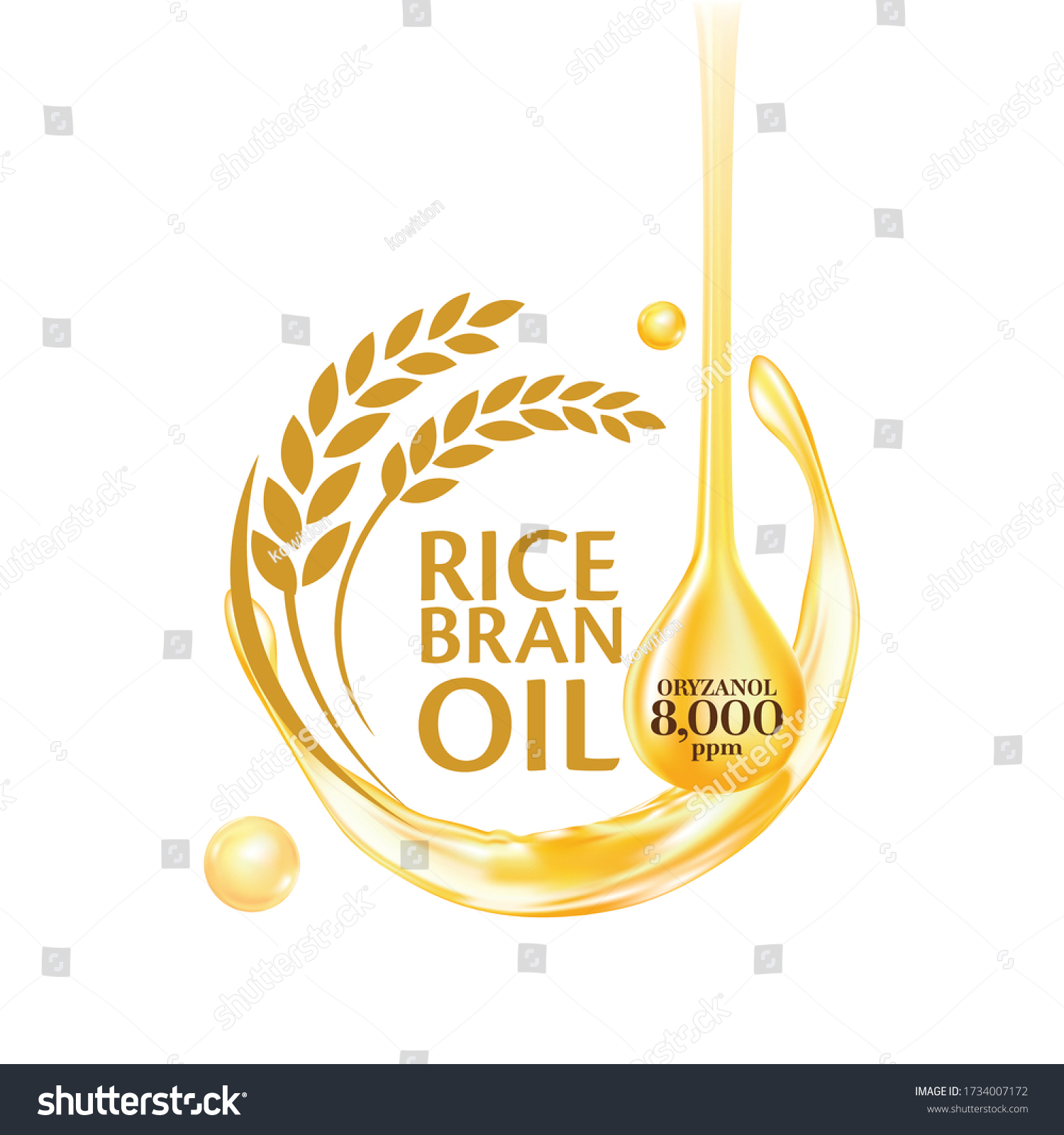 Rice bran oil. Vector illustration.