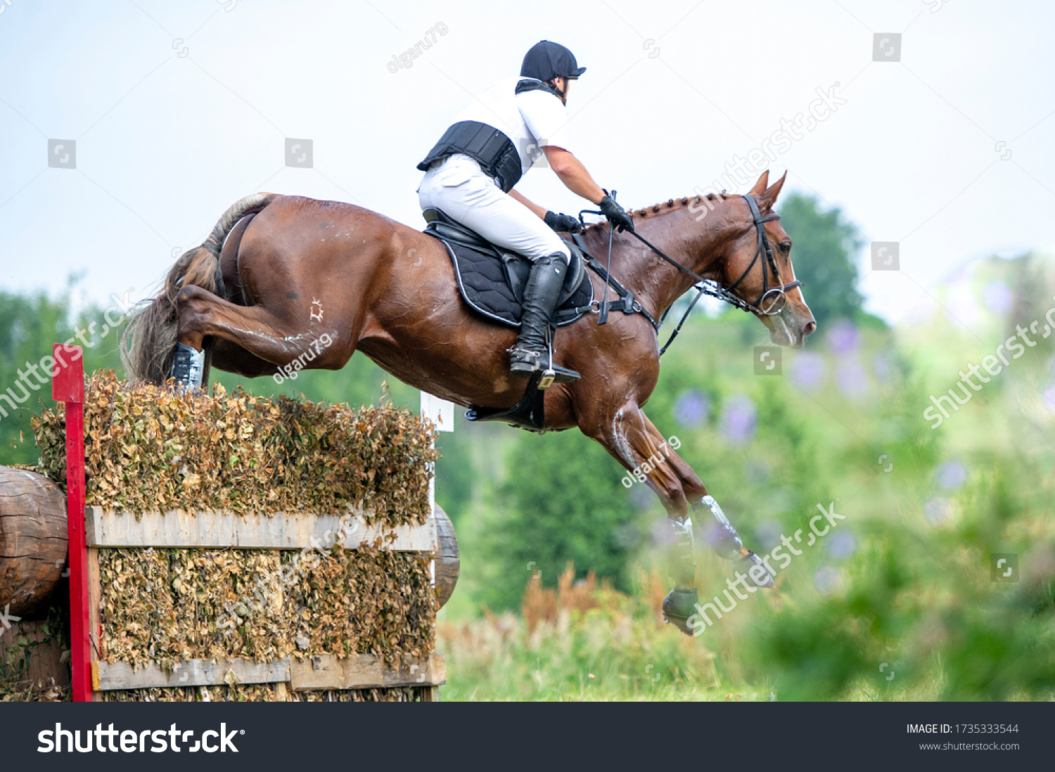 Eventing: equestrian rider jumping over an a brance fence obstacle