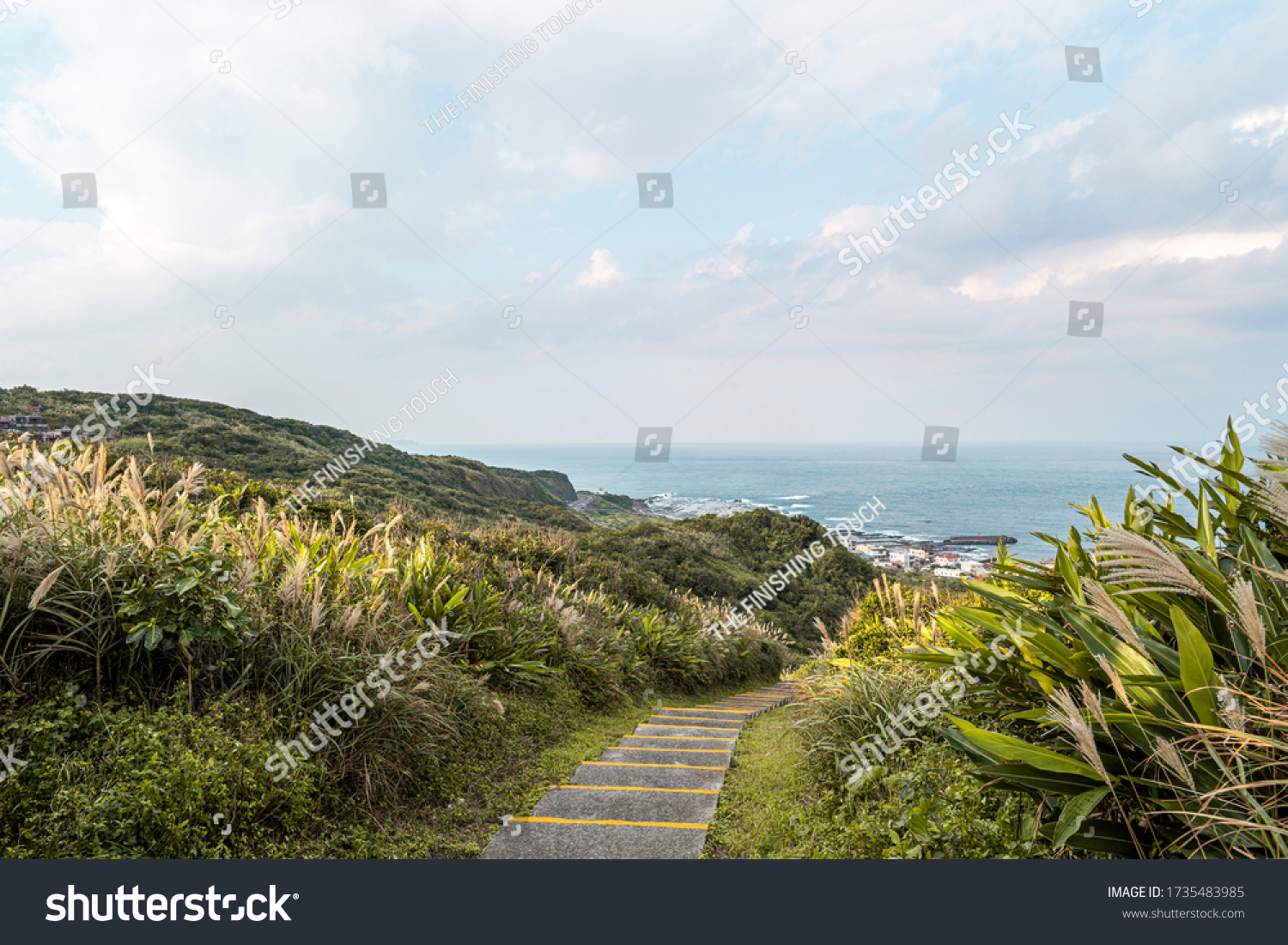 grass fields along coastal road landscapes