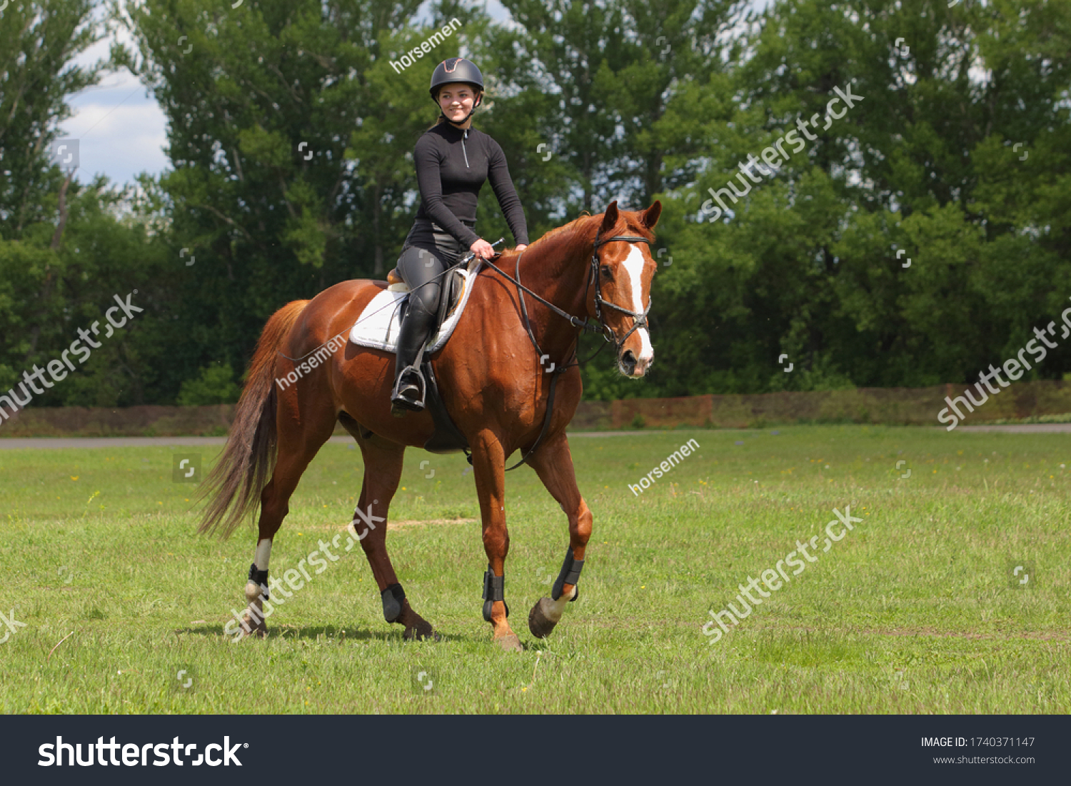 Equestrian model girl riding sportive dressage horse in summer fields