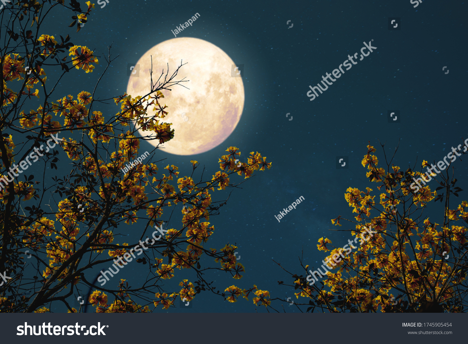 Romantic night fantasy with full moon and yellow flower tree.