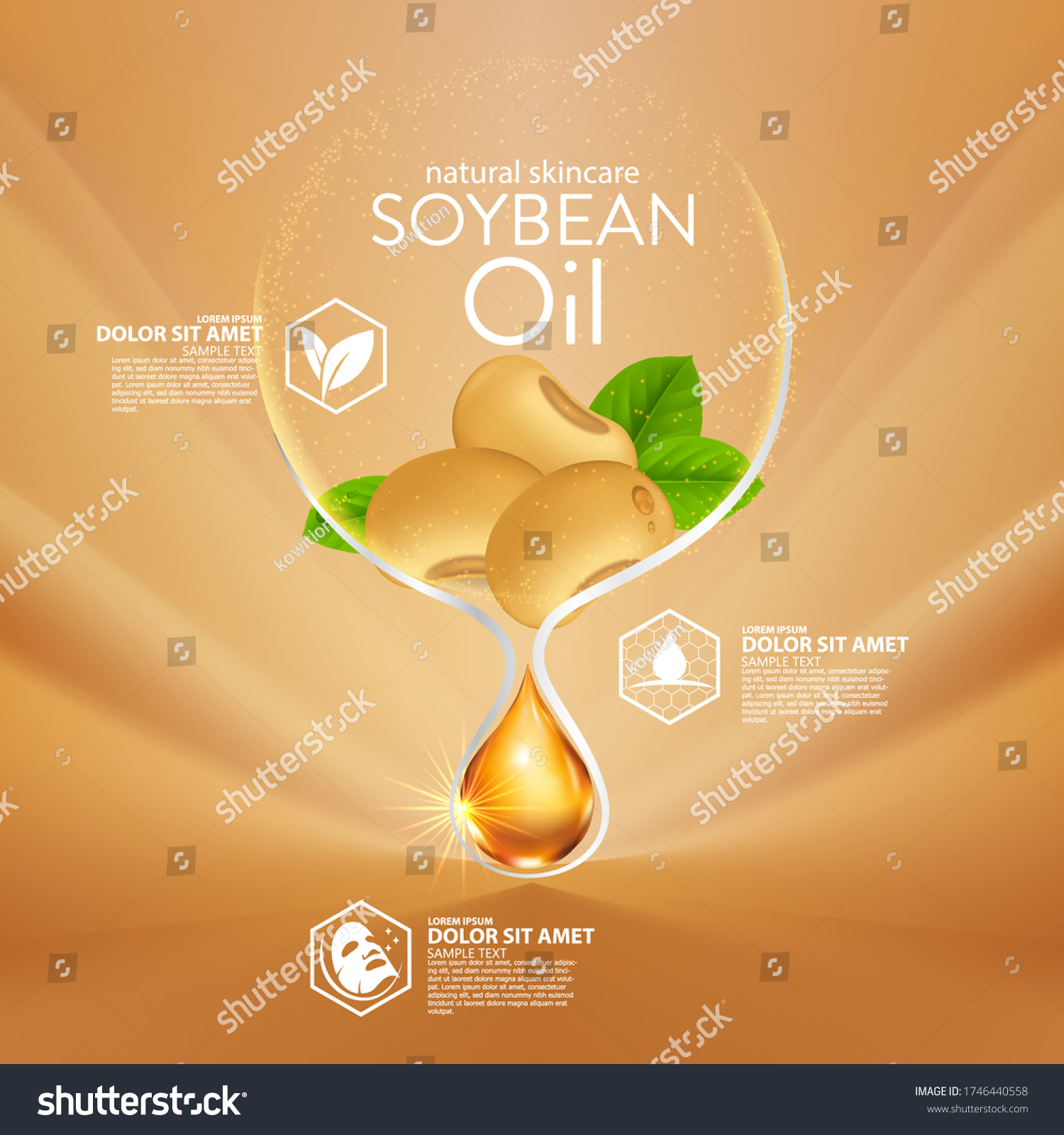 Soybeans Oil serum Natural Skin Care Cosmetic. Moisture Essence vector Illustration.