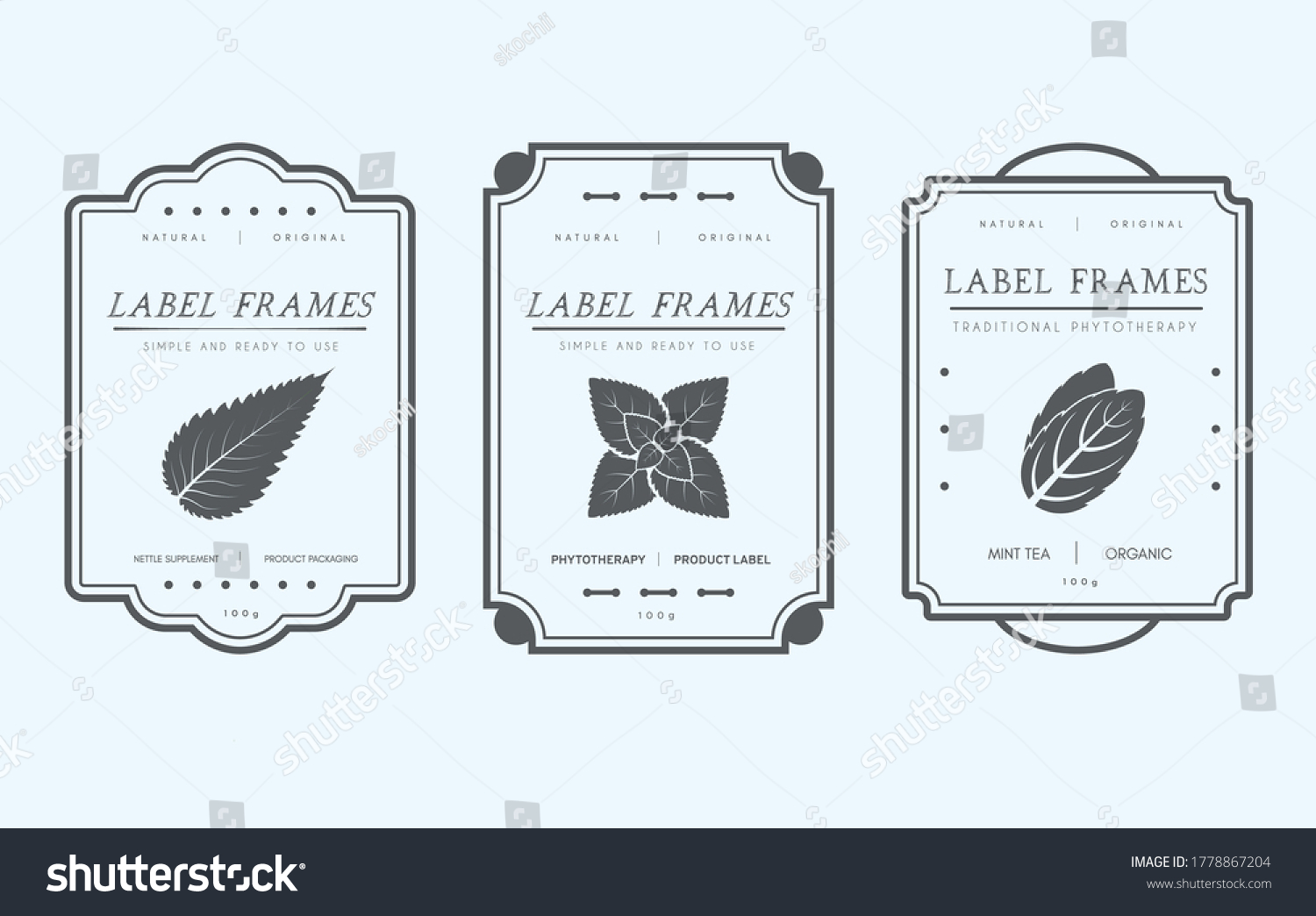 Vector Pantry label collection. Vintage packaging design templates for Herbs and Spices  dried fruit  vegetables  nuts and other organic products.