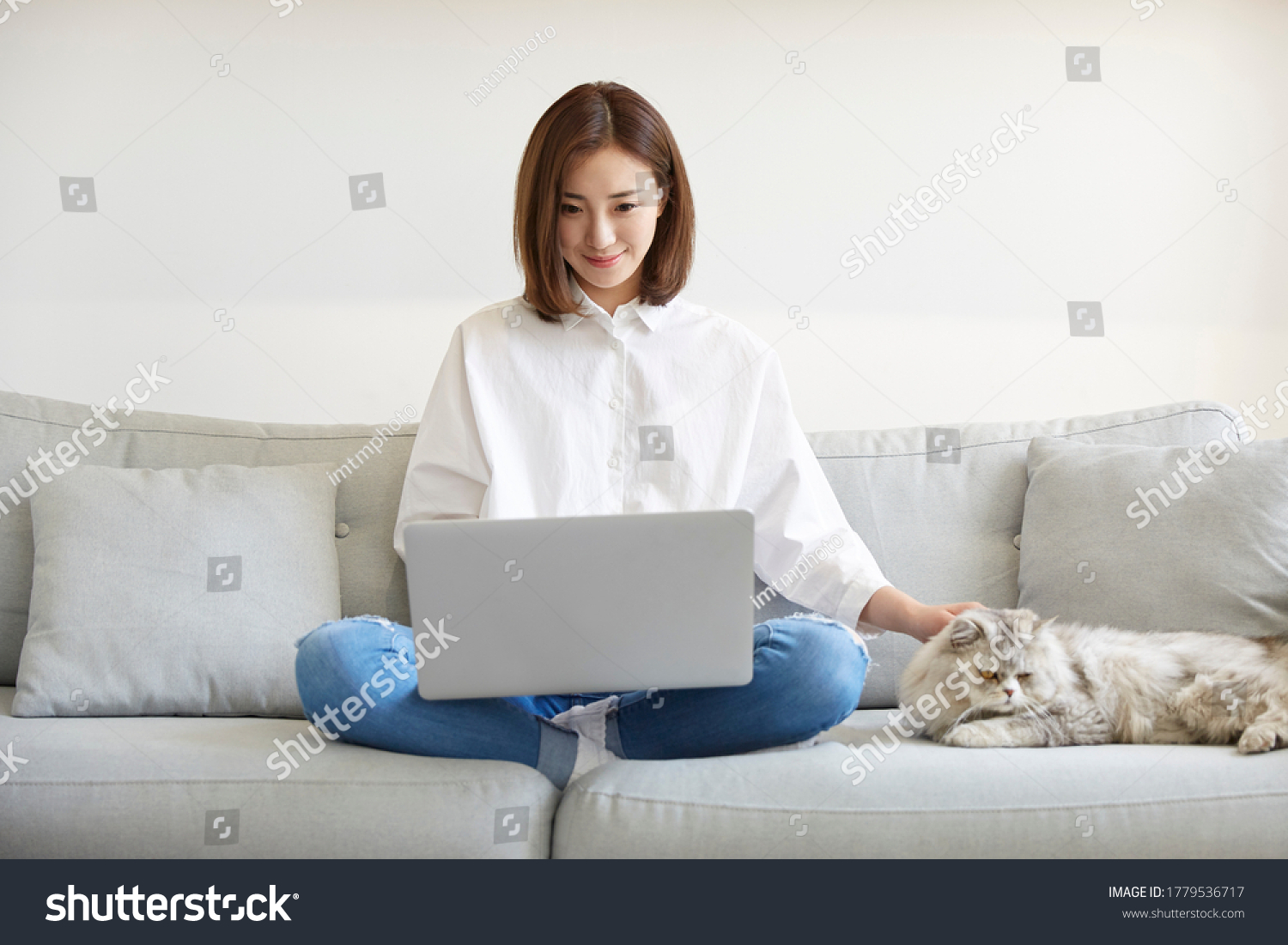 young asian businesswoman working at home using laptop computer while caressing pet cat