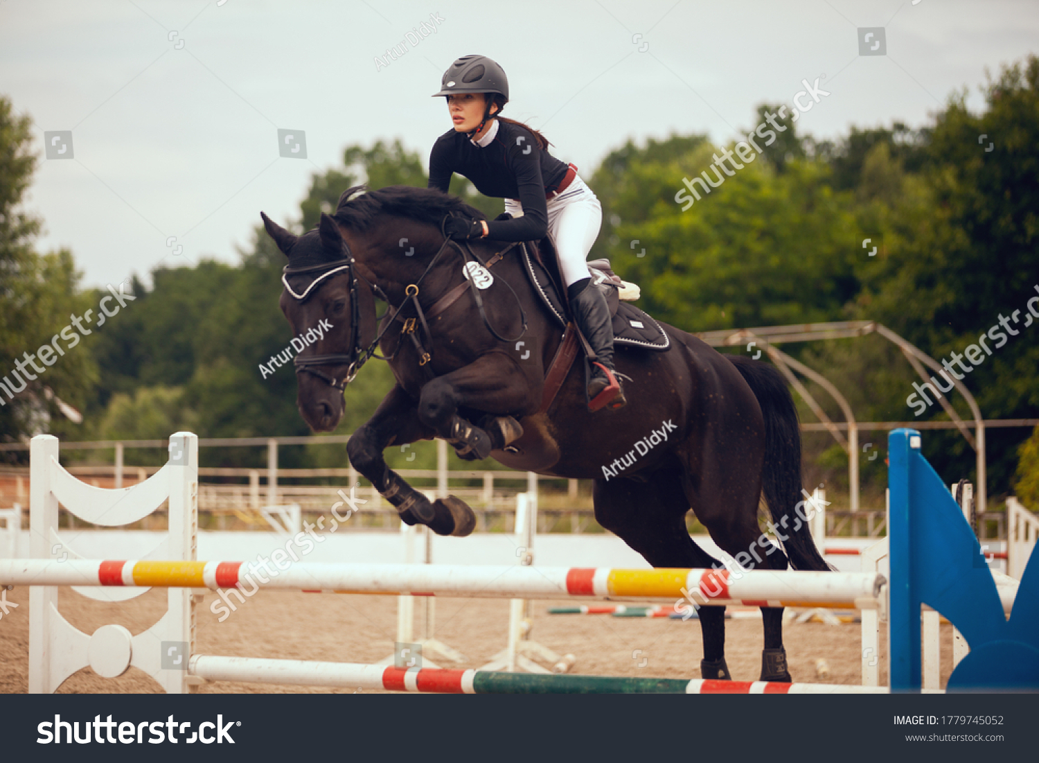 Equestrian sport - young girl rides on horse.
