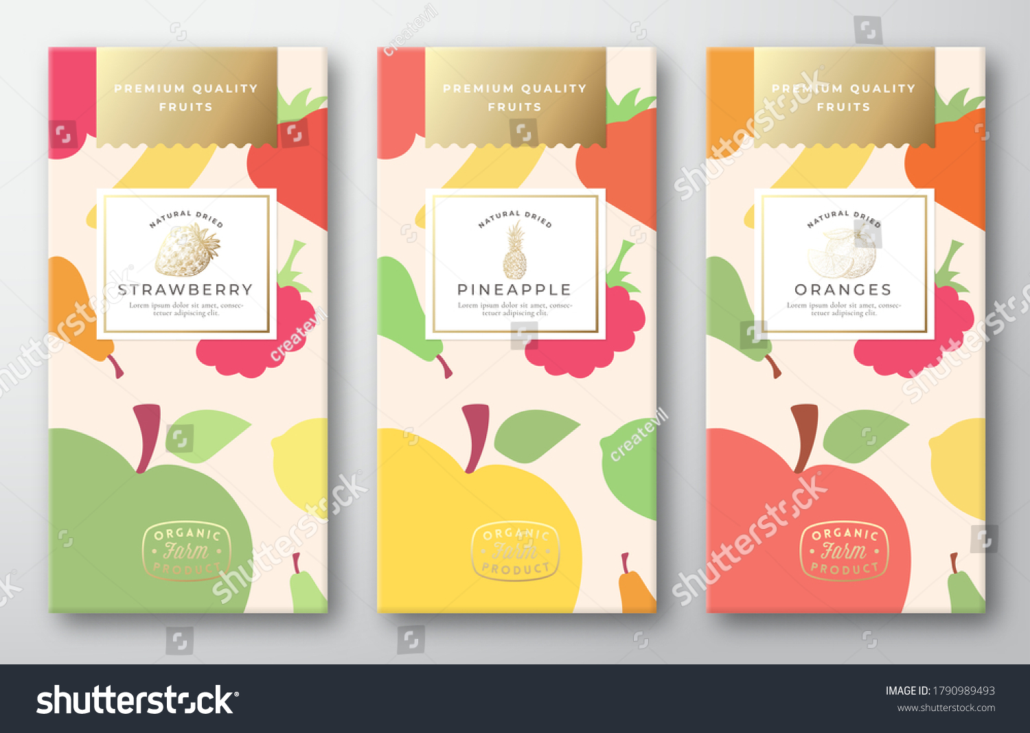 Dried Fruits Label Packaging Design Layout Collection. Vector Paper Box with Fruit and Berries Pattern Background Cover. Modern Typography and Hand Drawn Pineapple  Strawberry and Oranges. Isolated.