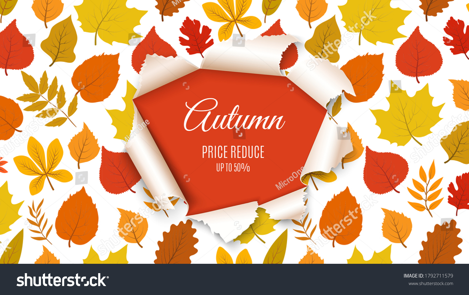 Autumn sale banner. Forest fall leaves with paper hole background. Seasonal discount  special price poster or flyer template. November nature design vector illustration