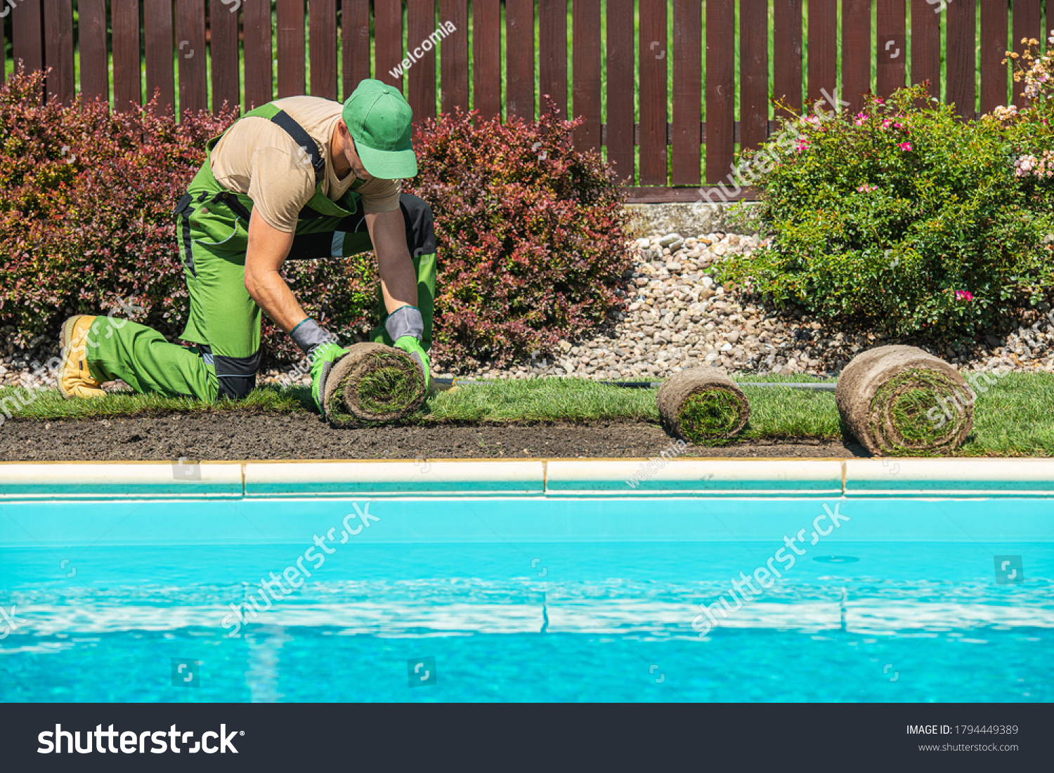 New Grass Turfs Installation Along Side of Garden Outdoor Swimming Pool. Caucasian Gardener in His 40s Assembly Grass From Rolls. Landscaping Industry.