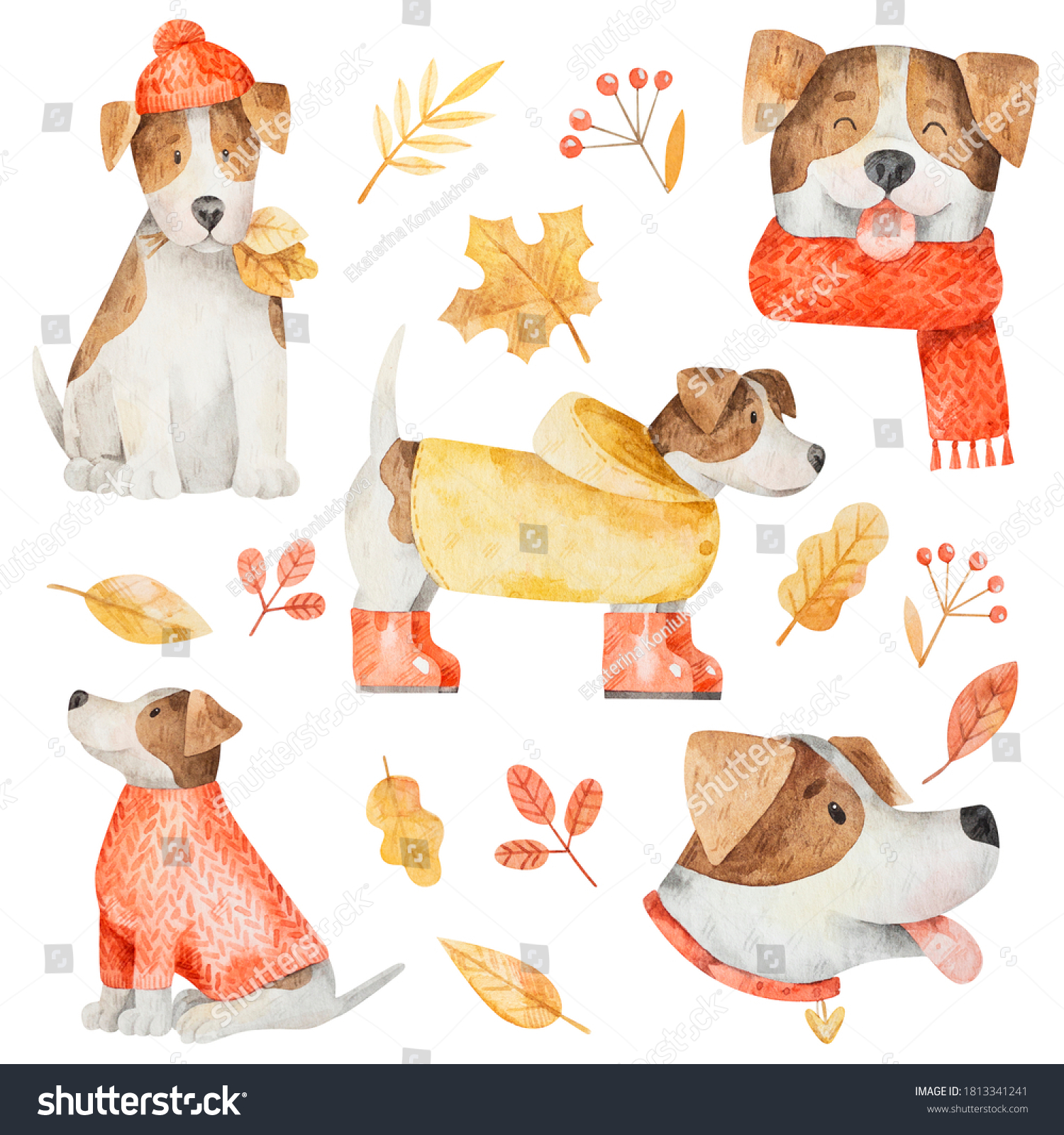 Watercolor set of dogs Jack Russell in autumn clothes and yellow leaves. 