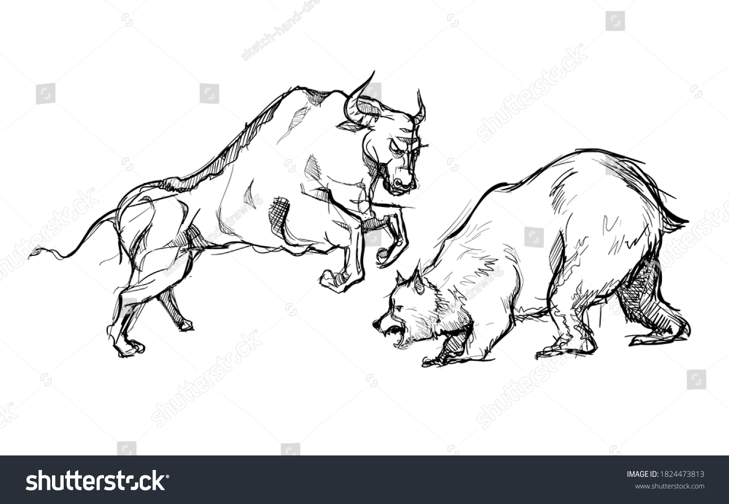Bear versus bull strong fighting market stock trend symbol hand drawn sketches white isolated background