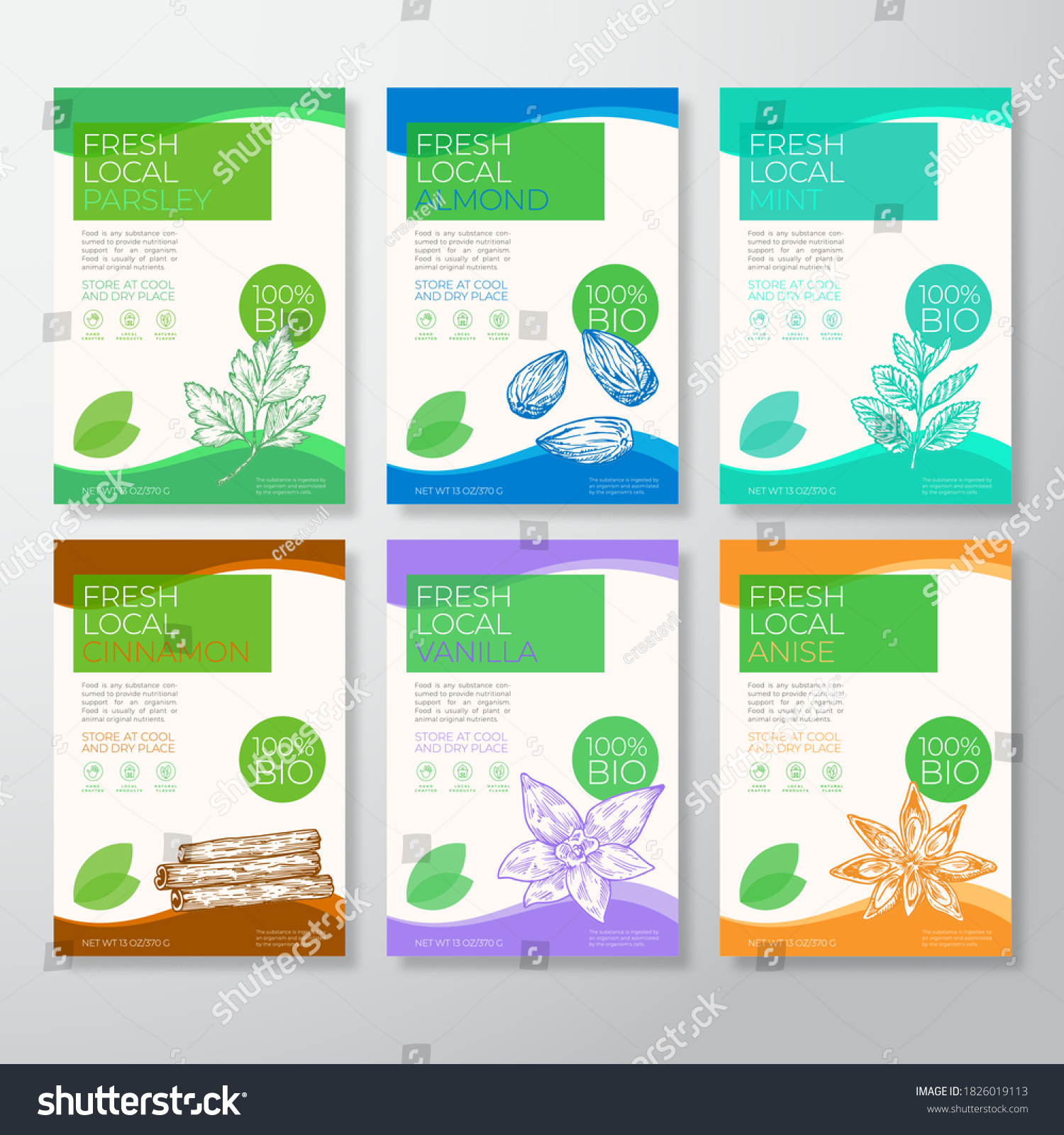Fresh Local Nuts and Spices Labels Packaging Design Layout Collection. Vector Background Covers Set. Modern Typography and Hand Drawn Almond  Cinnamon  Vanilla  Anise  Mint and Parsley. Isolated.