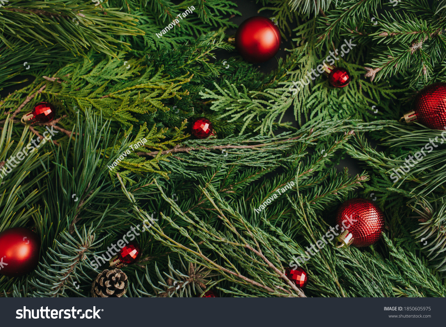 Creative layout made of evergreen tree branches and red Christmas balls. Winter nature New Year concept. Flat lay  top view  copy space.