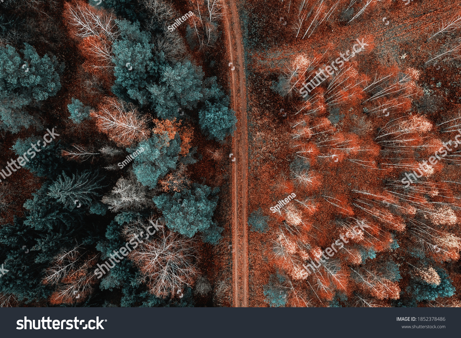 Aerial view of the road passing through a forest in late autumn. Orange and teal color grading.