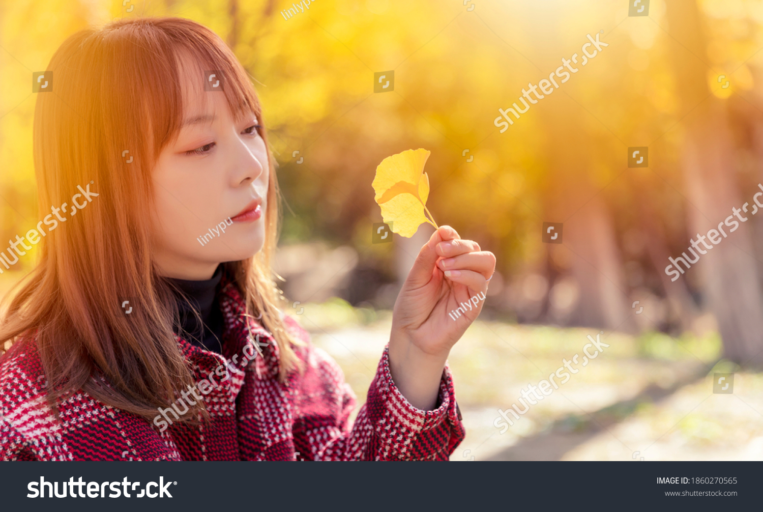 Beautiful Asian women in the park in autumn