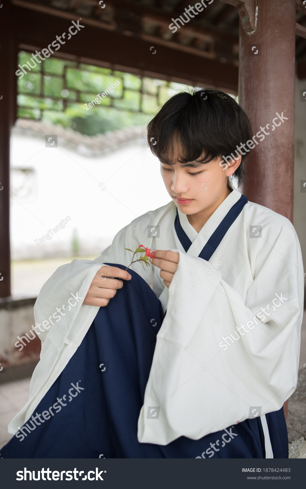 预览