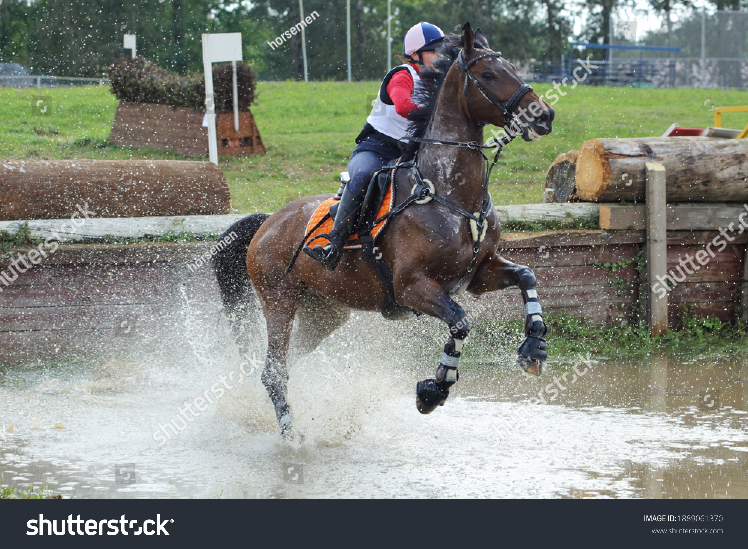 Equestrian girl jumping sportive horse