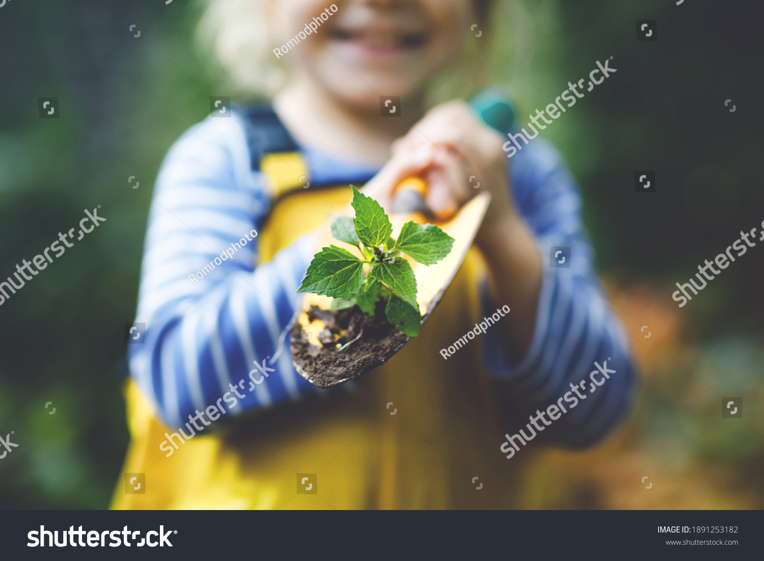 Adorable little toddler girl holding garden shovel with green plants seedling in hands. Cute child learn gardening planting and cultivating vegetables in domestic garden. Ecology organic food.
