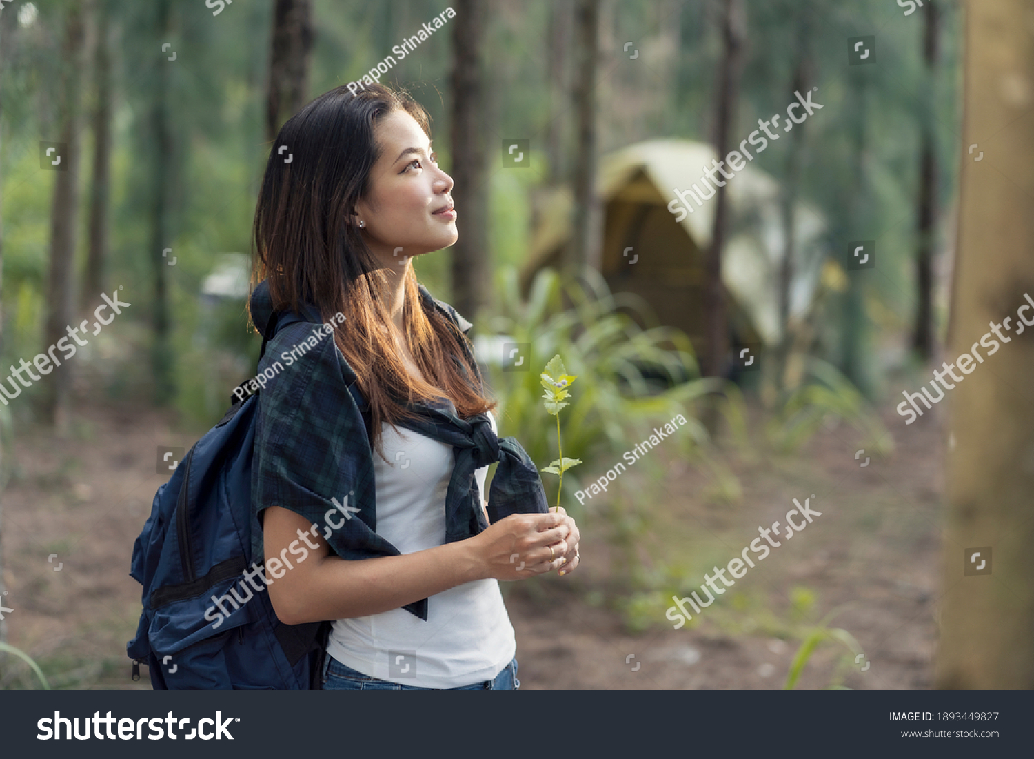 Adventure Traveler Asian attractive woman travel with backpack alone hold young plant at outdoor lifestyle in green forest environment for destination of relaxation in holiday to get natural therapy.
