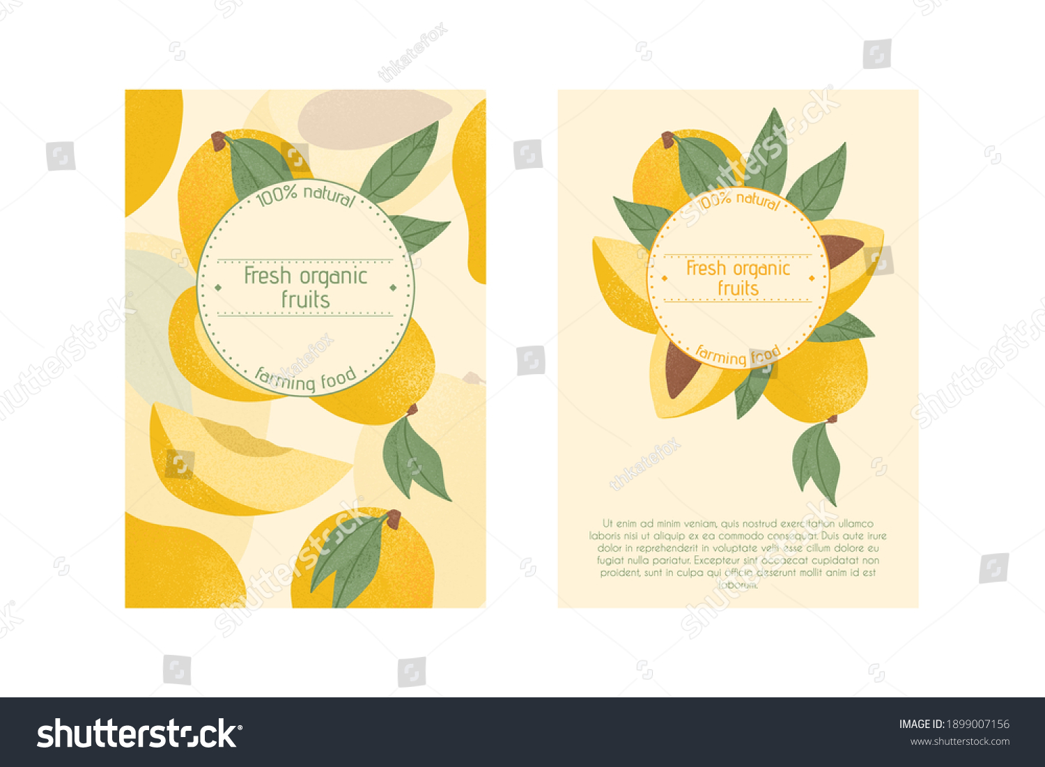 Ripe mango with leaves card template. Sweet mango fruits vector hand drawn poster design. Mango with leaf. Juice or jam poster concept.