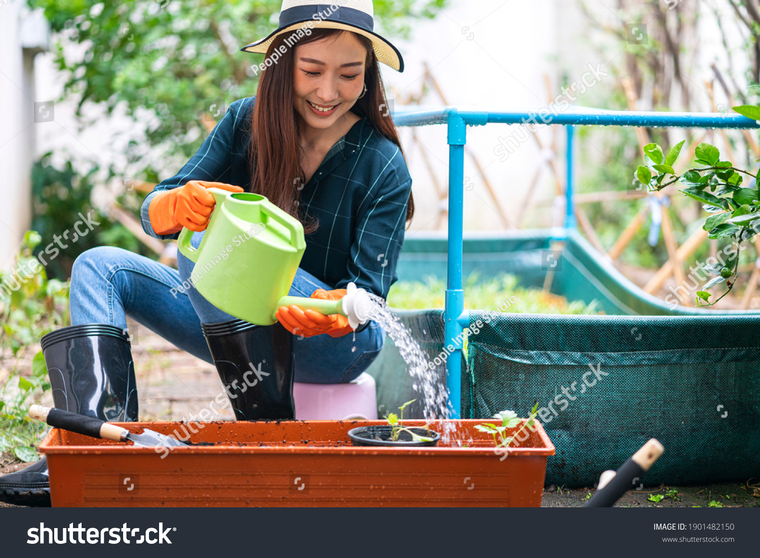 portrait of Asian woman gardening her home vegetable garden at home
