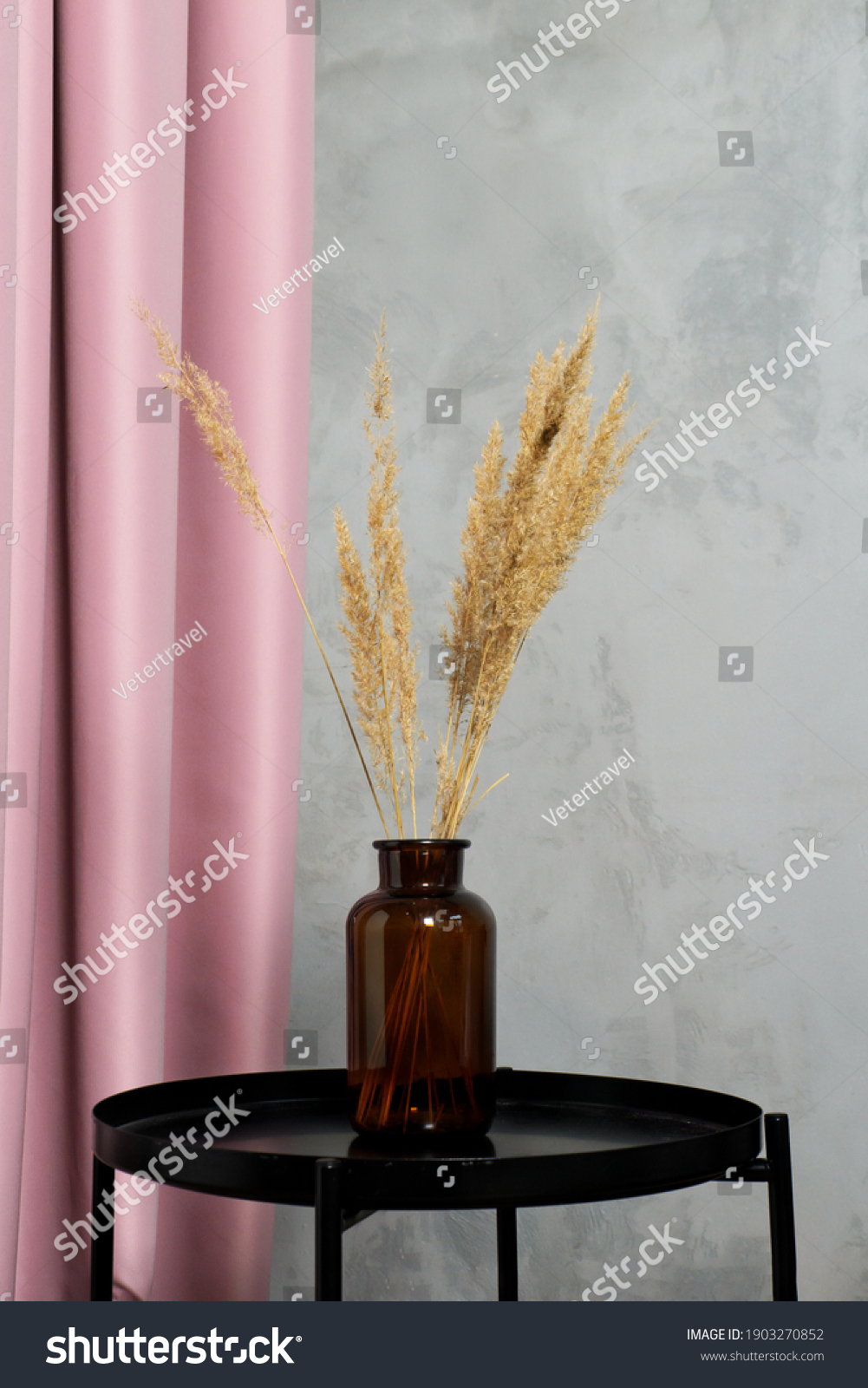 Bottle of dark brown glass and dry branches of pampas grass against background of pale pink curtains and dark concrete wall. Modern interior details vertical image. Trendy pampas grass in decor