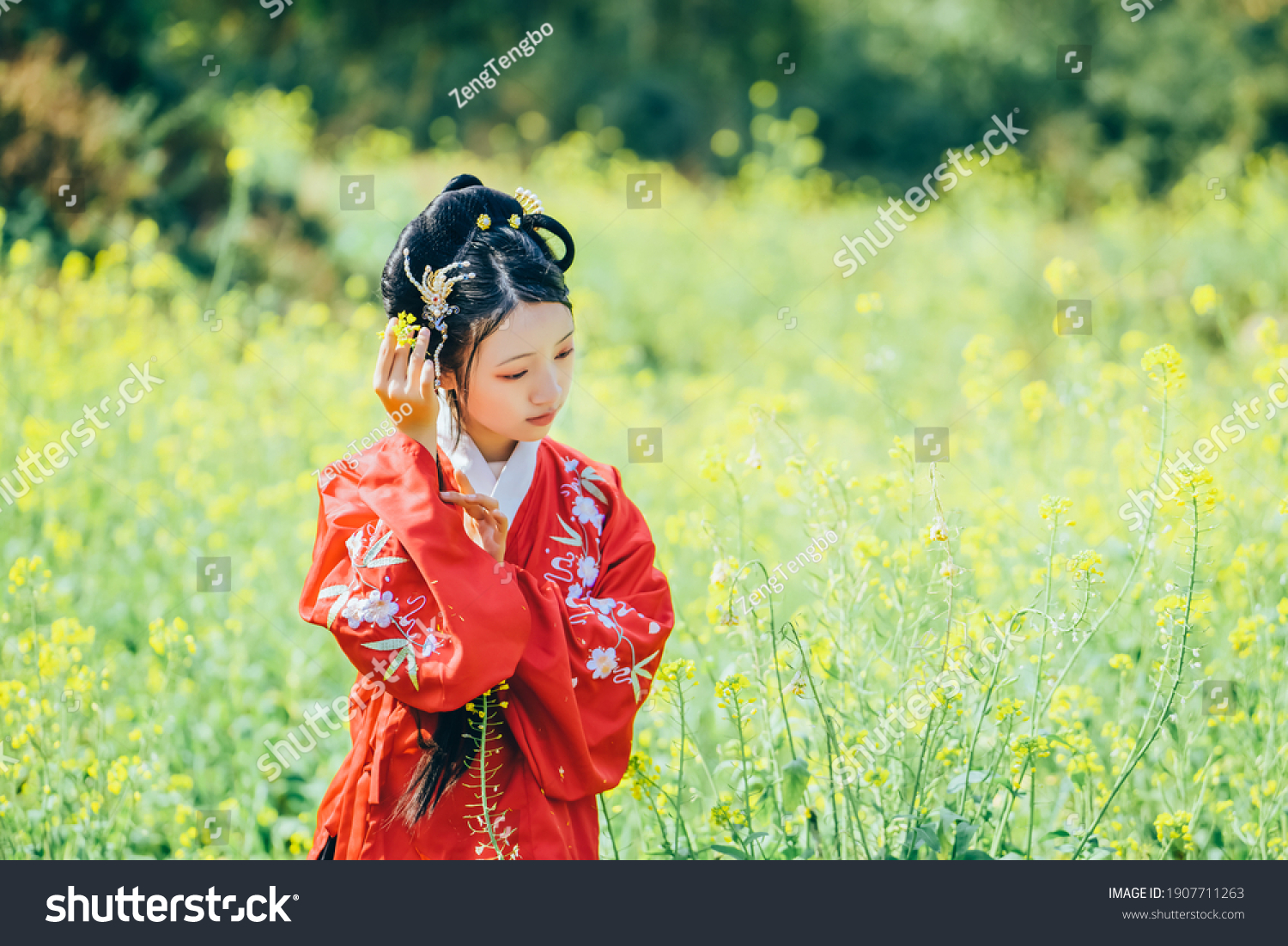 预览