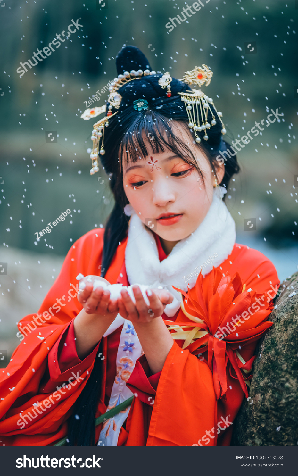 预览