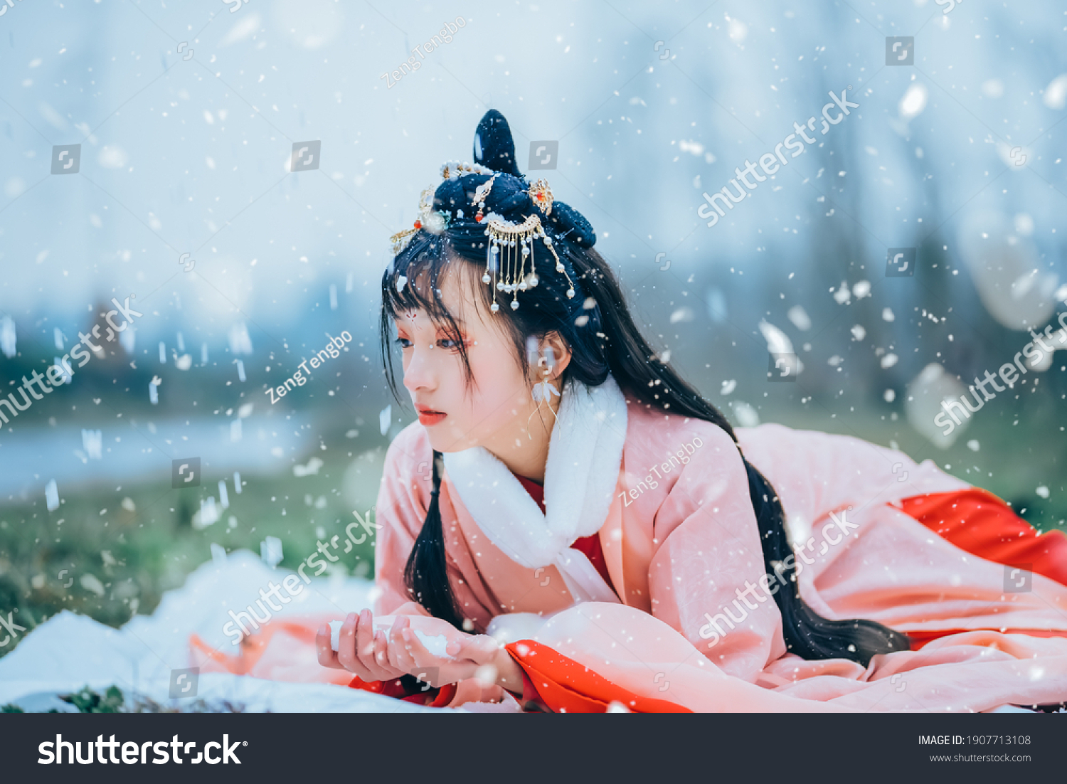 预览