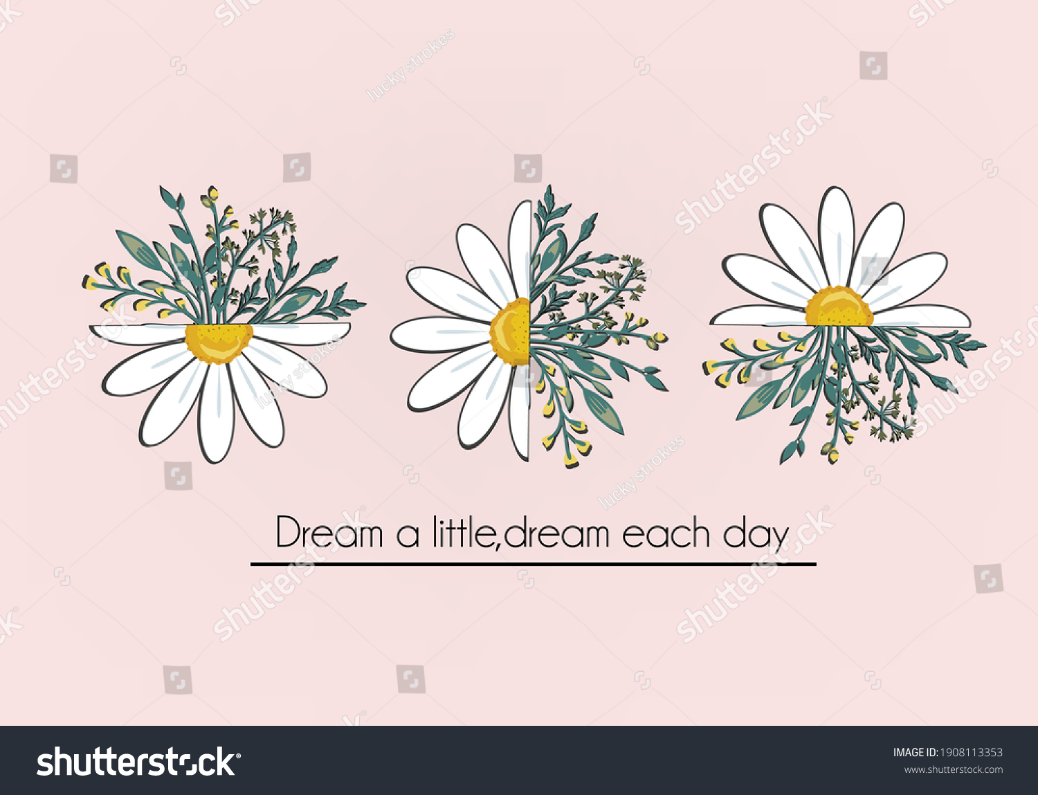 daisy flower hand drawn vector