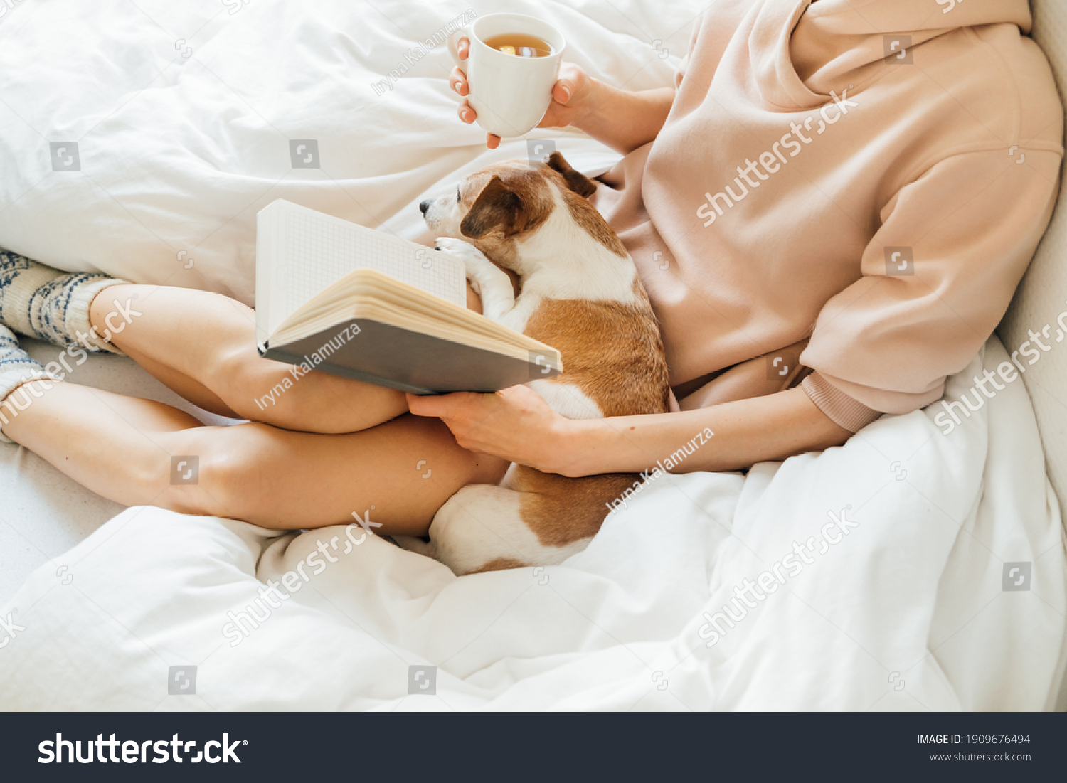 Reading at home in bed with pet. Cozy home weekend with note book dog and hot tea. Pink and white. Chilling winter mood. Relaxed slim woman in bed holding notebook and drinking tea. warm wool socks