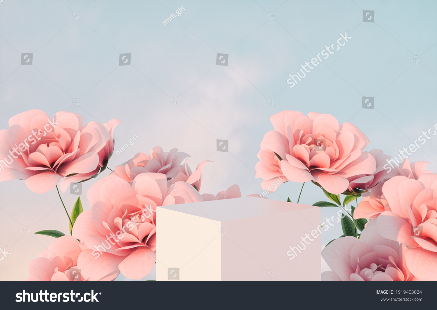 Natural beauty podium backdrop for product display with pink rose flower. 3d render.
