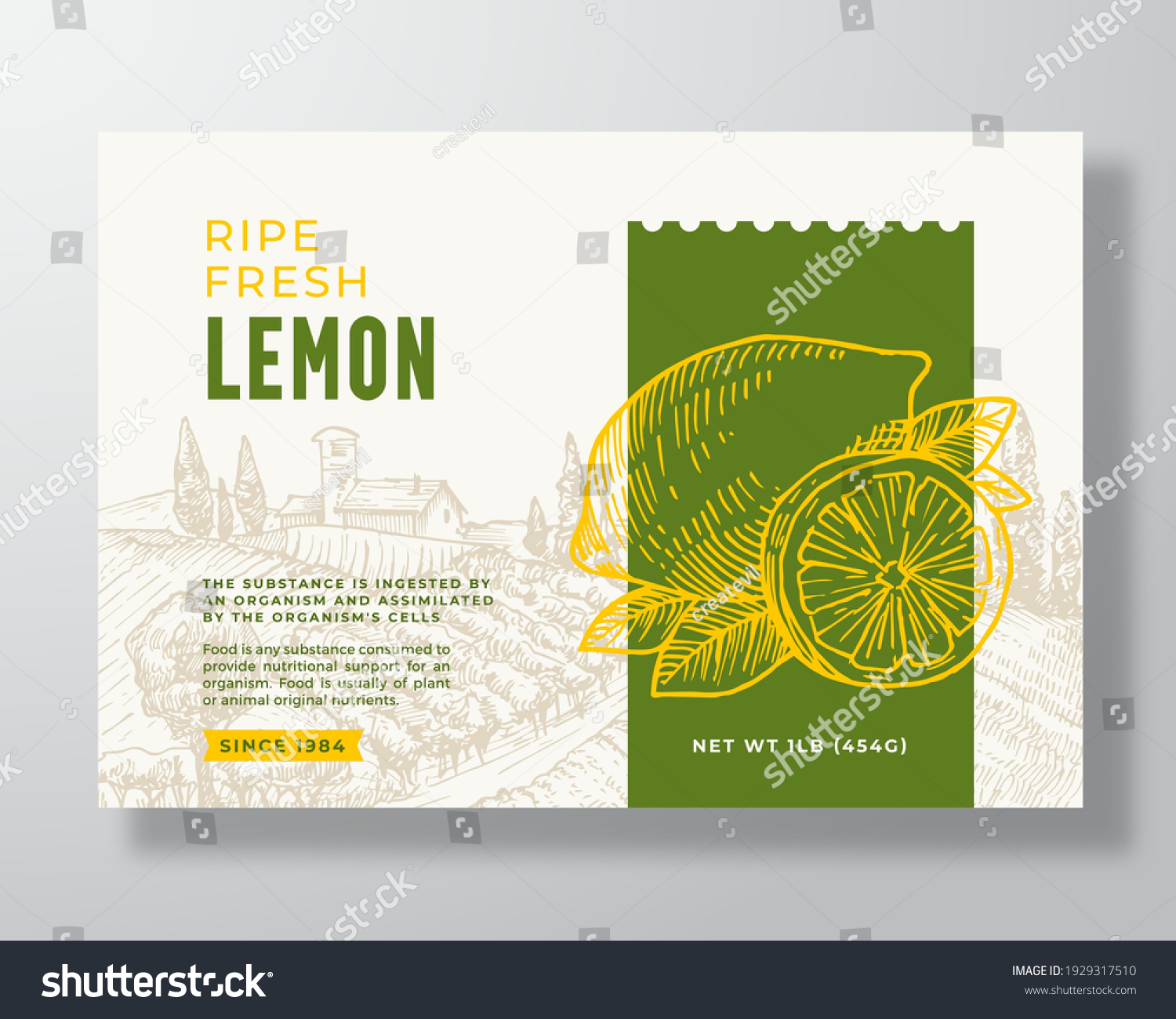 Ripe Fresh Lemon Food Label Template. Abstract Vector Packaging Design Layout. Modern Typography Banner with Hand Drawn Citrus Fruit and Rural Landscape Background. Isolated.