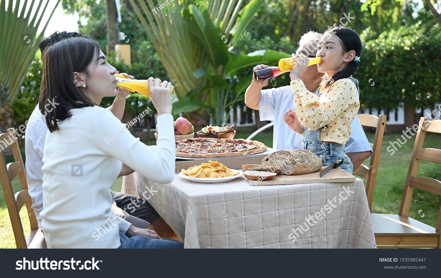 预览