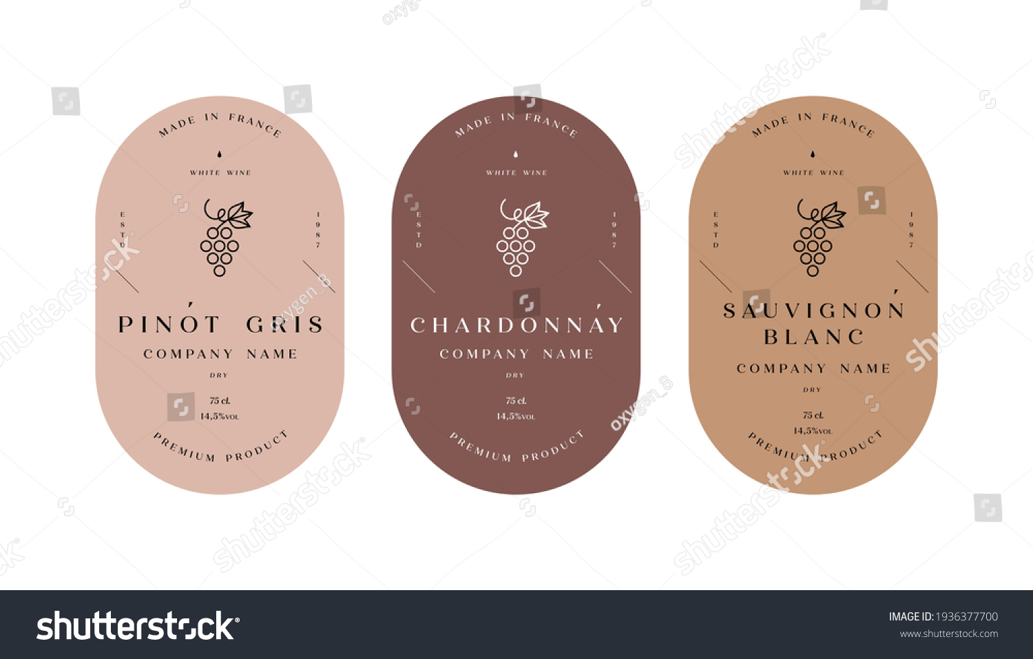 Vector set illustartion design labels for wine. Minimalistic and modern design