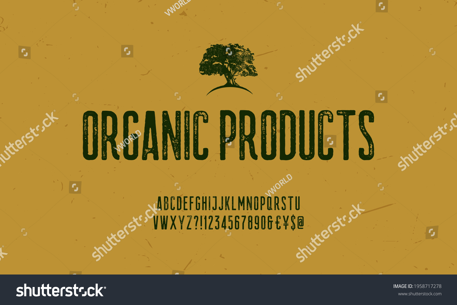 Hand Drawn Rustic Farm Fresh Vector Typeface.Organic alphabet with imprint effect. Retro grunge marker for organic packaging design. Stamp lettering.Vintage Retro Textured Decorative Type. Vector illu