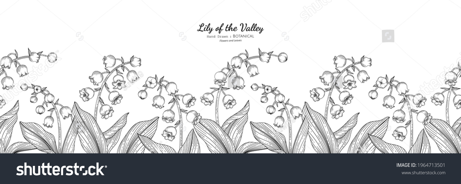 Seamless pattern Lily of the valley flower and leaf hand drawn ...
