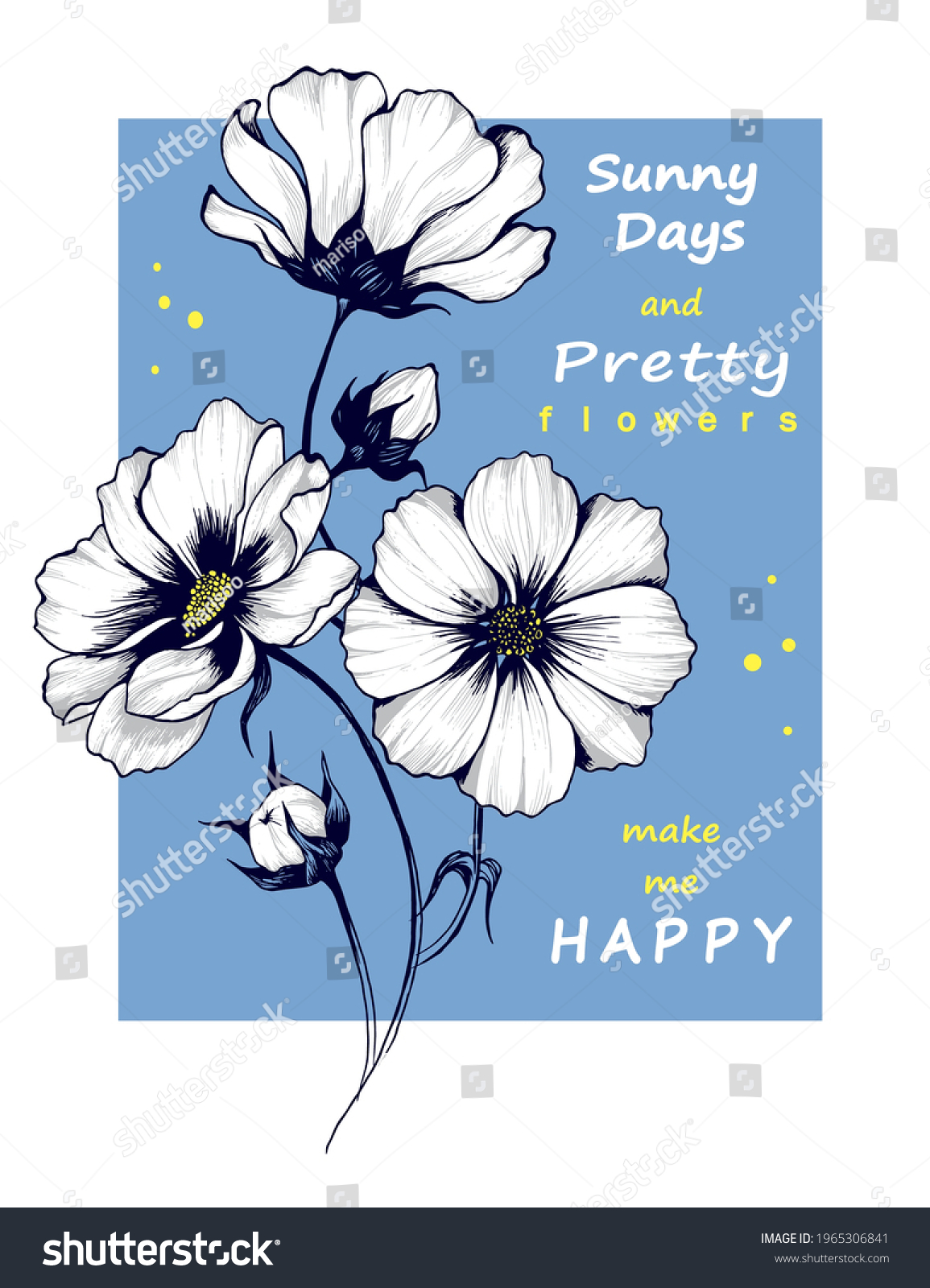 White Cosmos flowers with slogan Sunny days and pretty flowers make me happy. Print for t shirt. Hand drawn pen illustration.