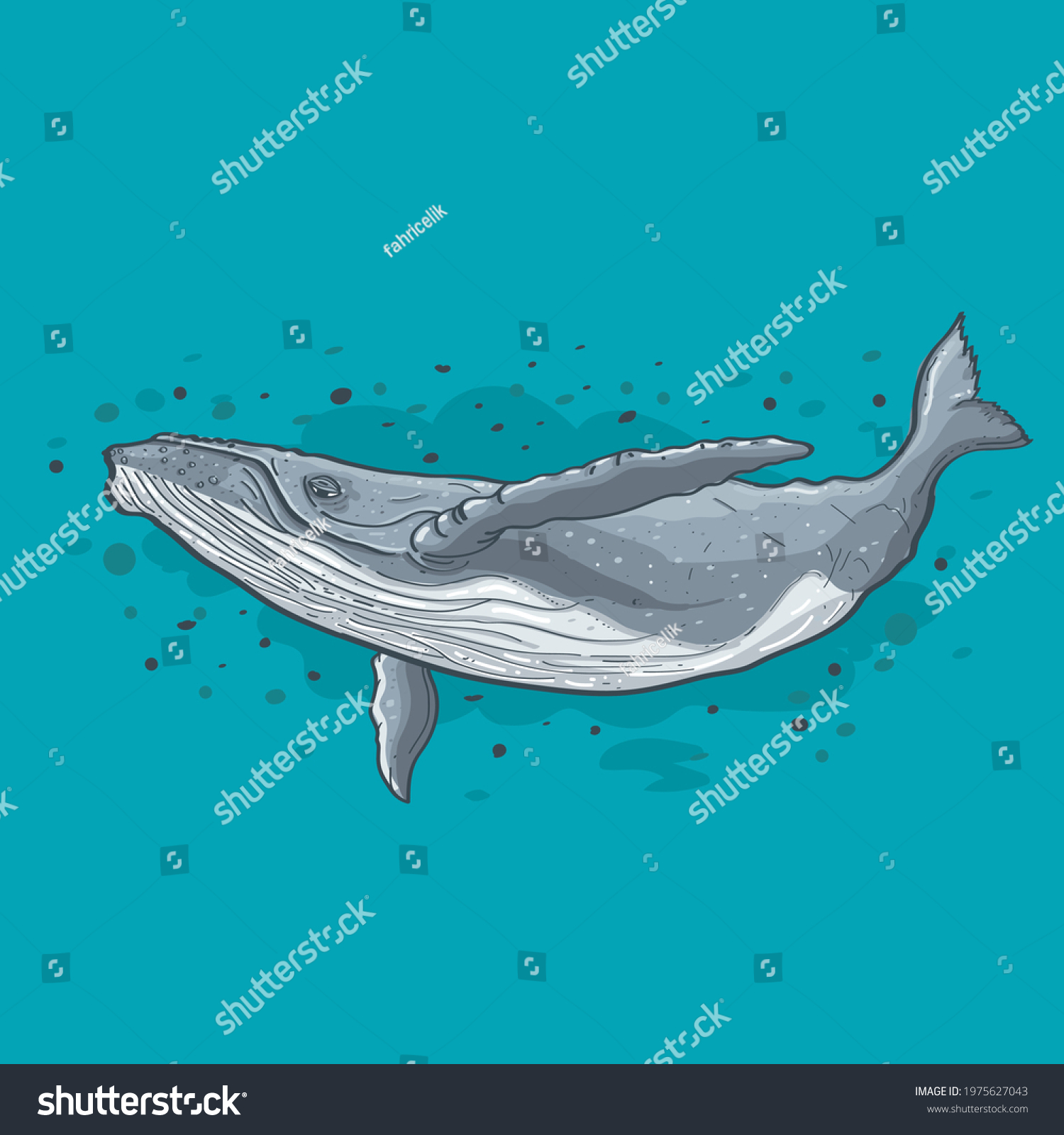 old humpback whale ocean