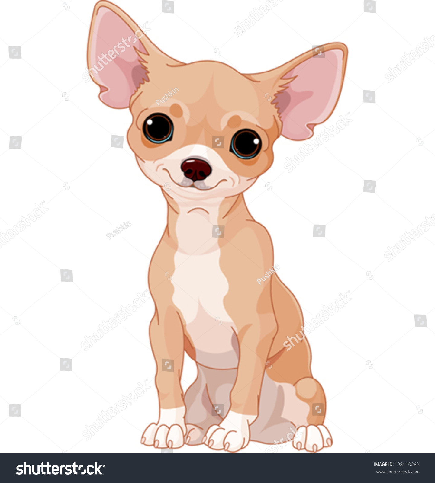 Cute  dog of breed Chihuahua