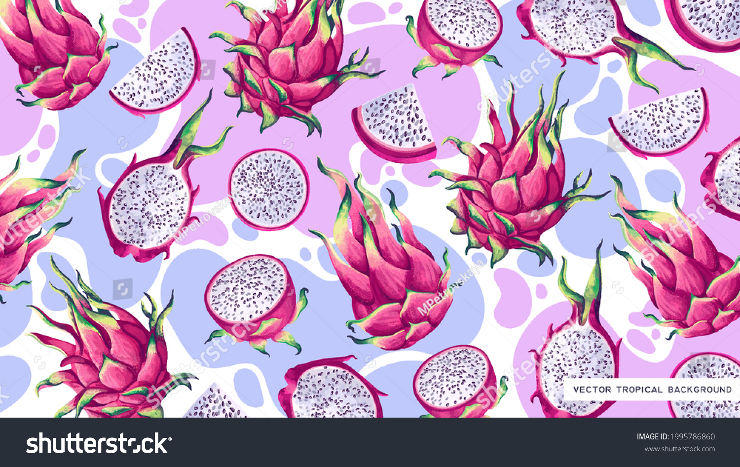 Bright vector background for desktop on computer  tablet  phone with tropical fruits of cactus Pitaya  Dragon Fruit. Detailed hand-drawn plants on background of colored dots. Cover for social networks