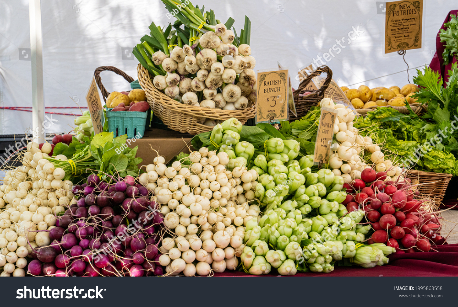 a display of vegetables at a farmers market in salem