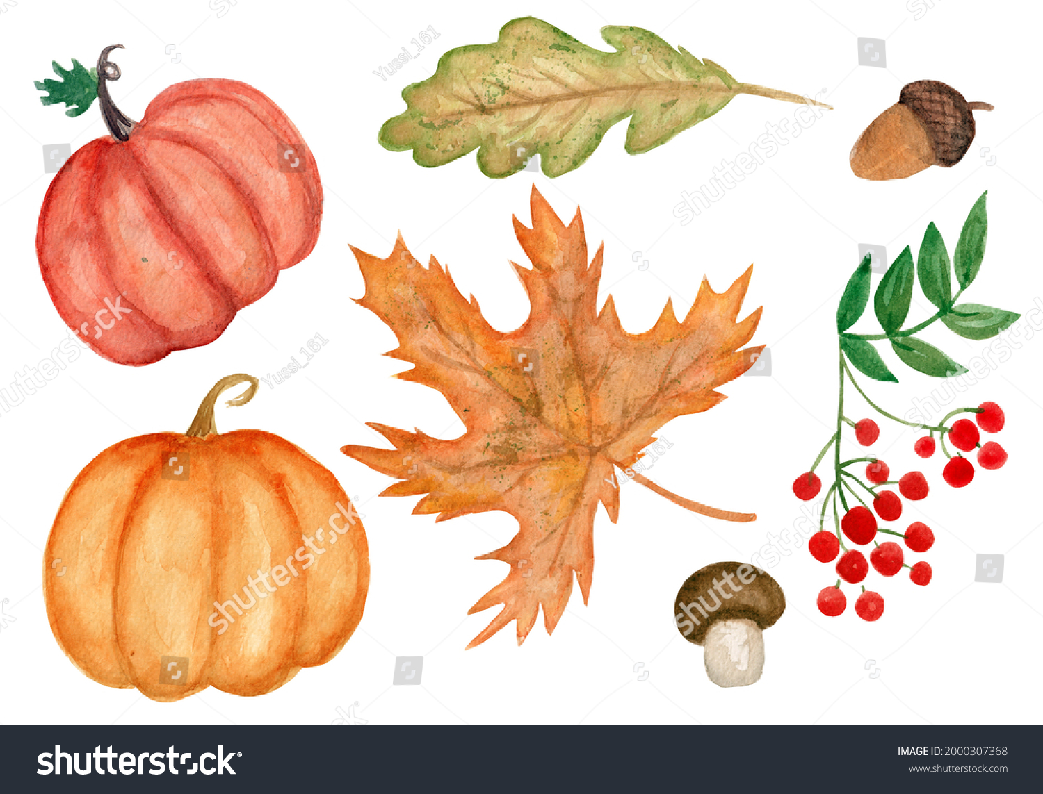 Large watercolor autumn set collection of autumn leaves pumpkins ...